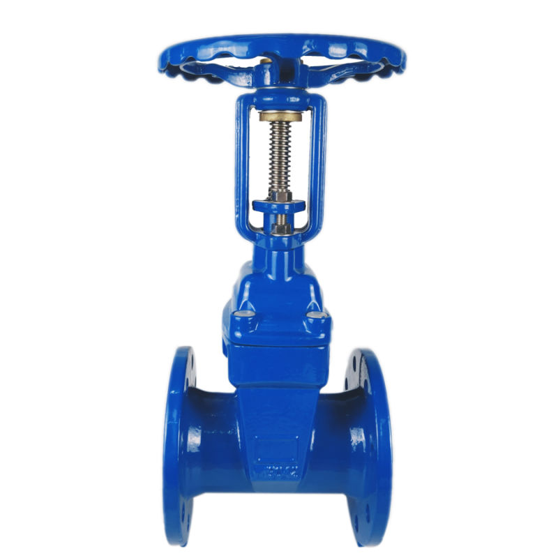 Factory Manufacturer Cast Steel Stainless Steel Ductile Iron API Gate Valve Wedge Gate Valve
