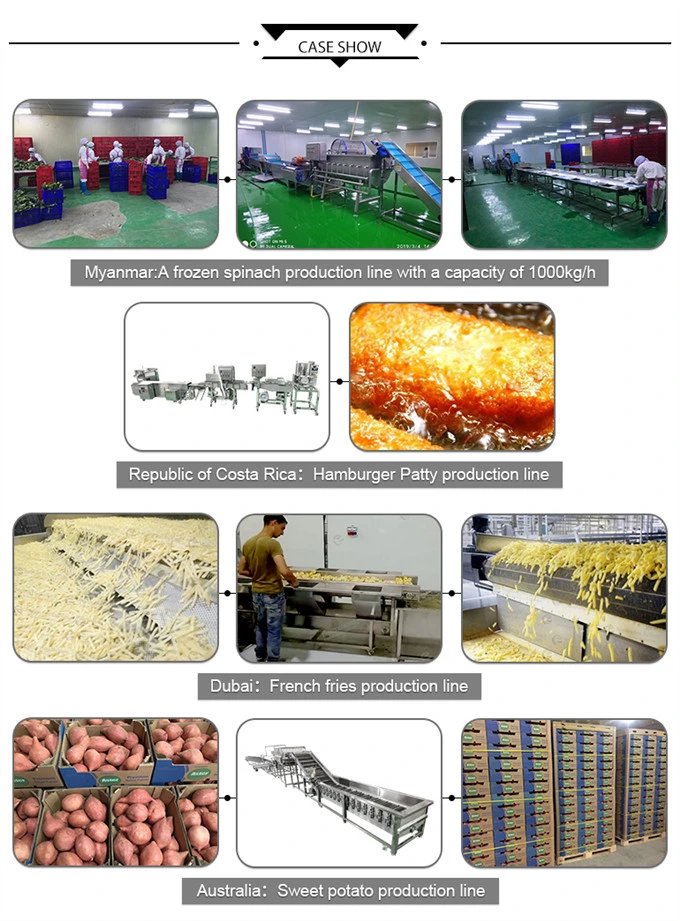 Automatic Cabbage Salad Line Cabbage Washing Line Cabbage Cutting Machine