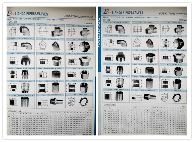 Stainless Steel 2PC Spring Thread Check Valve