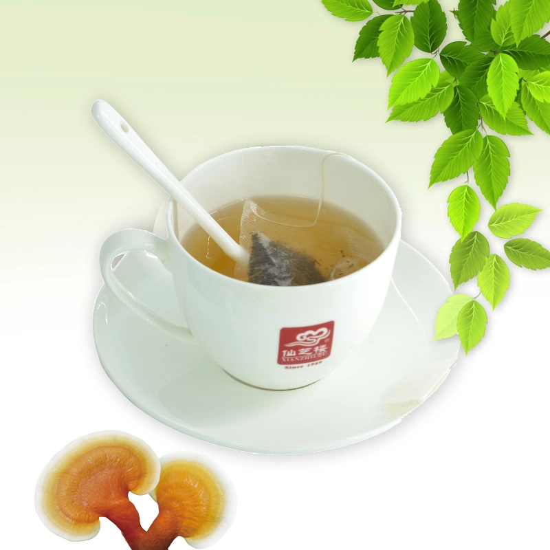 Reishi Green Tea Lingzhi Green Tea Herbal Green Tea with Organic Certificate