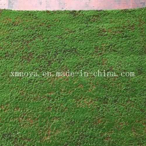 Eco-Friendly High Imitation Artificial Plants Wall with Fake Moss / Grass
