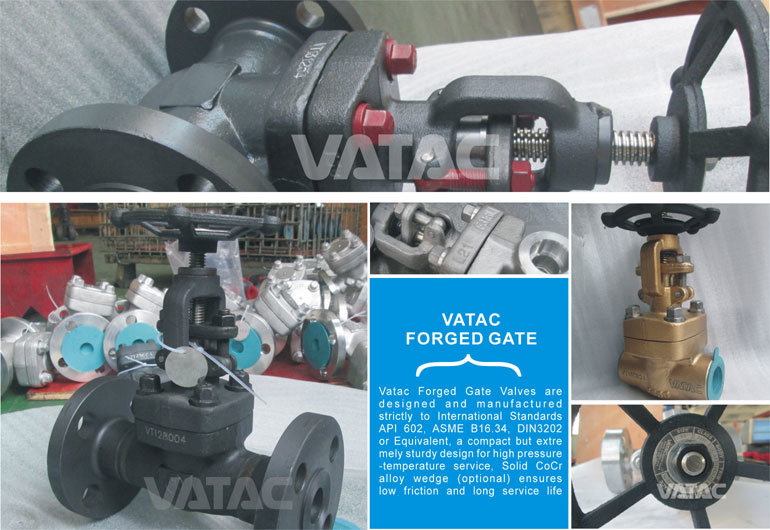 API 602 OS&Y Forged Steel Bolted Bonnet Gate Valve