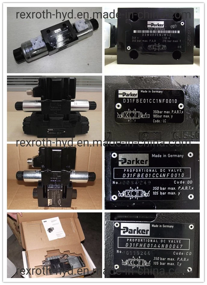 Parker Hydraulic Pump/Hydraulic Valve/Piston Pump/Control Valve/Solenoid Valve Coil/Hydraulic Motor/Gear Pump/Proportional Valve/ for Pav/PV/Pvs/Pgp/F12/D1V/D3w