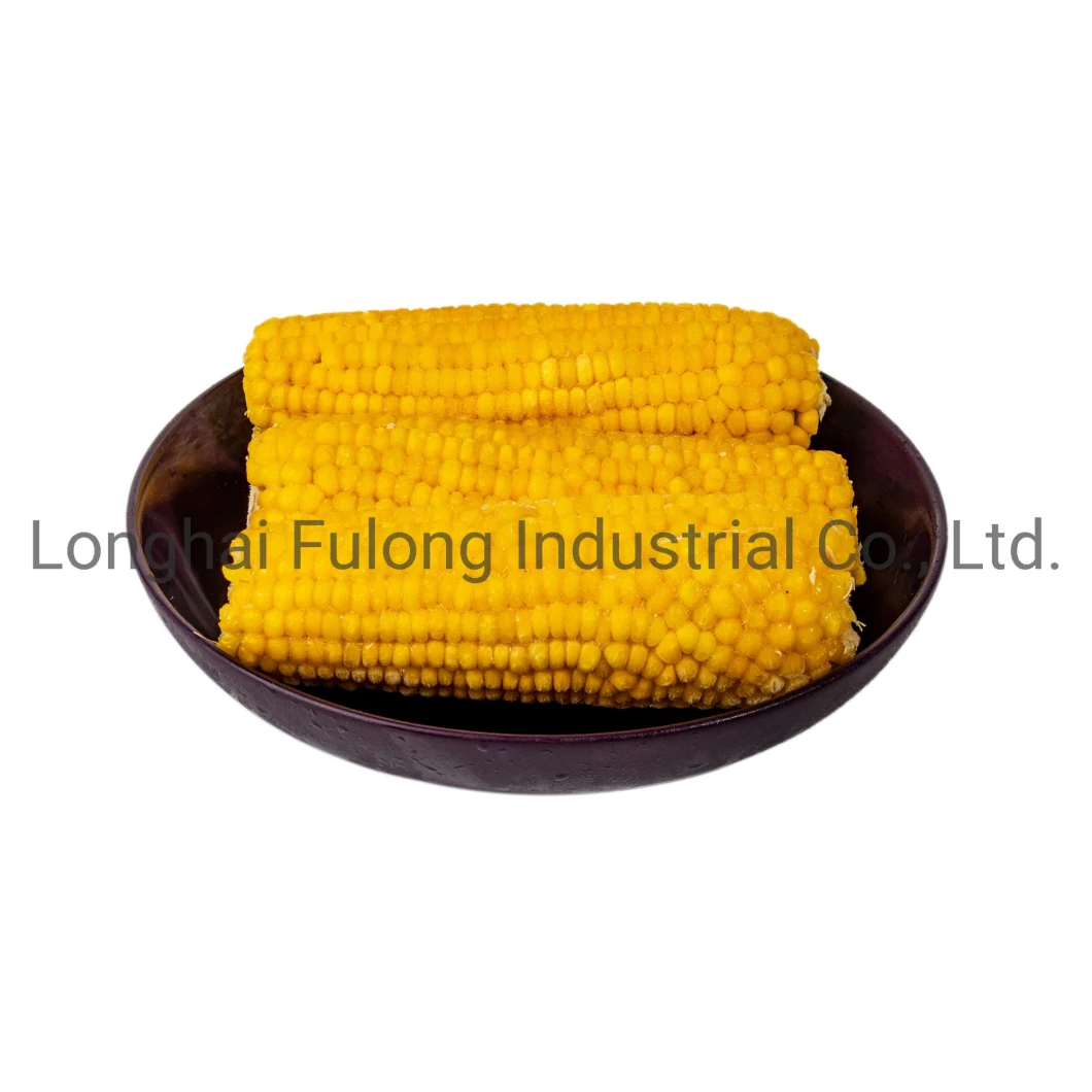 IQF Whole Sweet Corn Frozen Corn Top Quality Sweet Corn