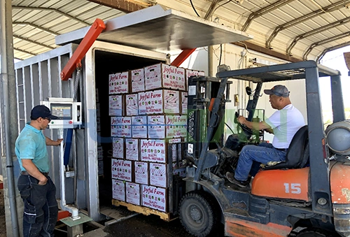 2 Pallets Keep Lettuce Fresh Cooling Equipment, Vegetable Vacuum Cooler Machine