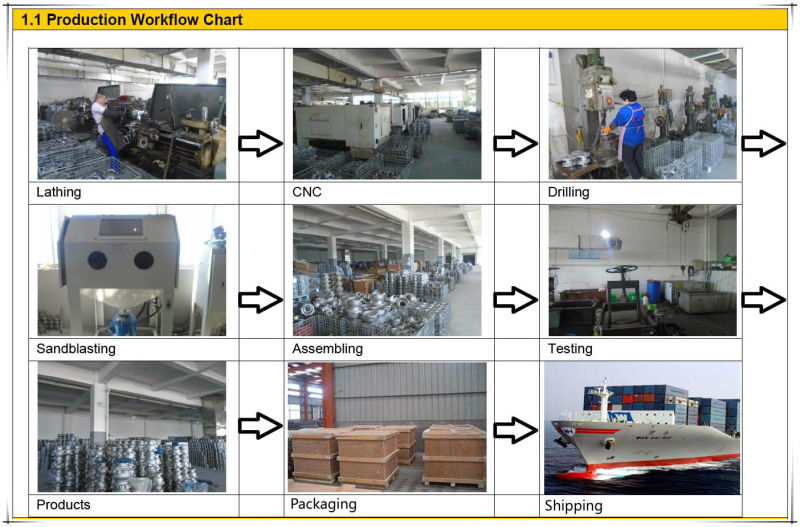 Wcb/CF8/CF8m Stainless Steel Spring Loaded Check Valve / Non Return Valve / Swing Check Valve Pn16-64