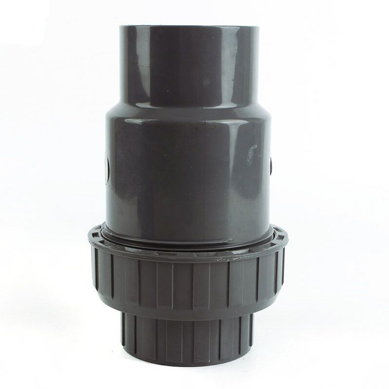 Plastic PVC Check Valve Wafer Swing Check Valve for Water Treatment