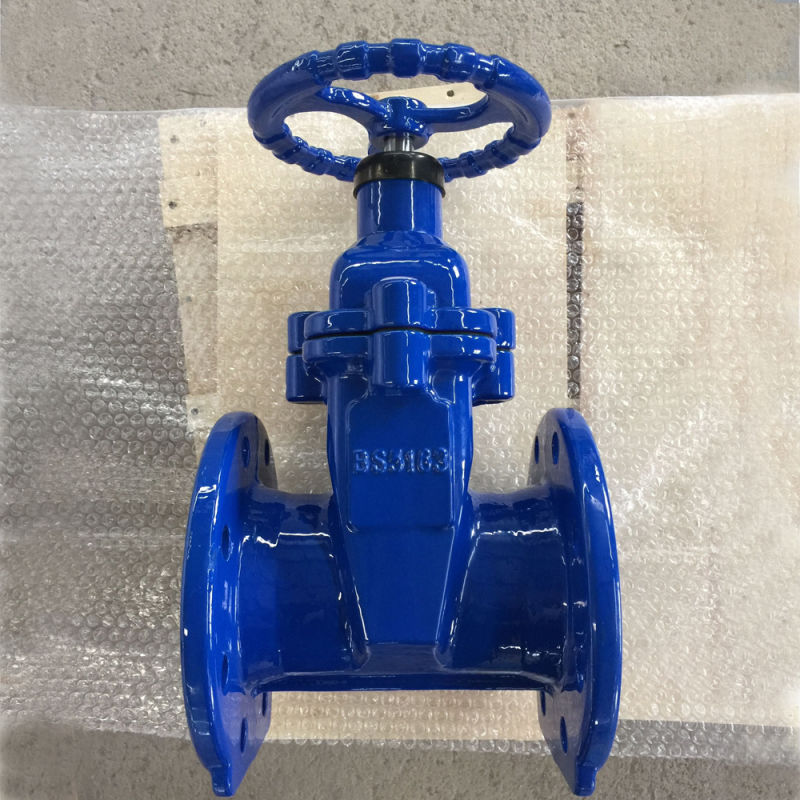 Ductile Iron Pipe Resilient Seat Sluice Control Industrial Electric Gate Valve 2 Inch Gate Valve Butterfly Valves Manufacturers 22mm Gate Valve