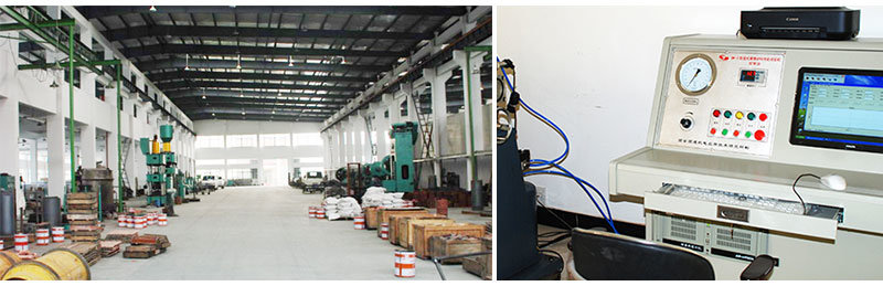 Fricwel Auto Parts Fastener Hardware Manufacturer Fastener Clutch Rivet China OEM ODM