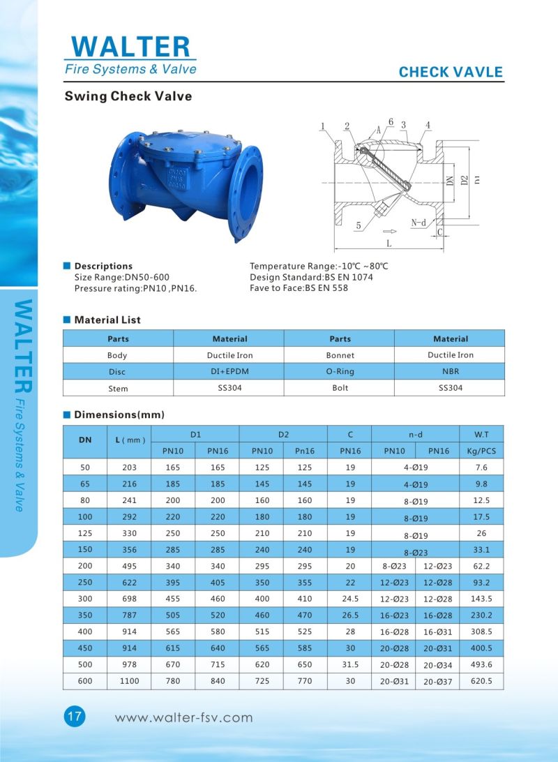 Cast Iron Flanged Swing Check Valve for Water System