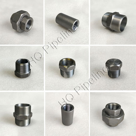 Stainless Steel Carbon Steel 6000lbs Hex Plug Forged Pipe Fittings