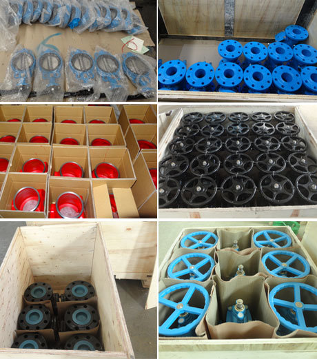 Wafer/Lug/Swing/Grooved End Type Butterfly Valve/Check Valve