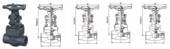 Z150-800lb Female Thread and Bolted Bonnet Type Steel Gate Valve