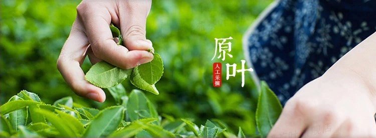 Weight Loss Jasmine Tea Dried Flower Herbal Tea