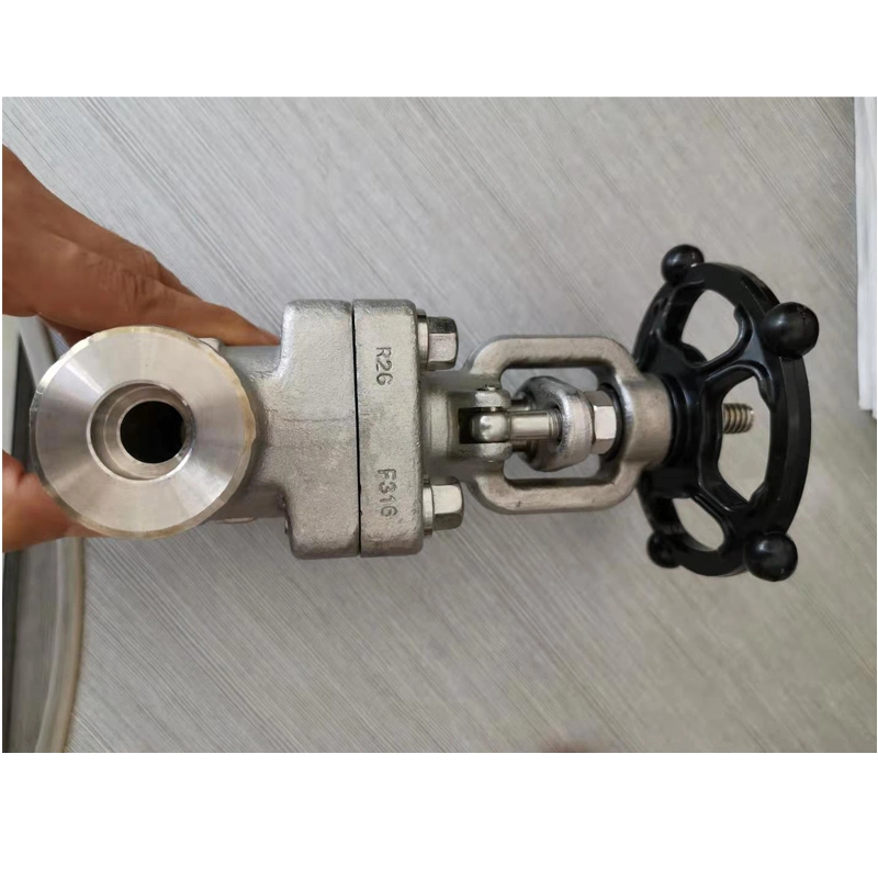 API 602 A105 Forged Steel Globe Valve 800lb True Union Ball Valve High Pressure Ball Valve Wedge Gate Valve Compressor Check Valve