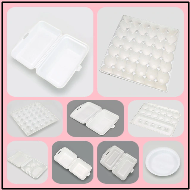 PS Foam Take Away Food Box/Container Making Machine