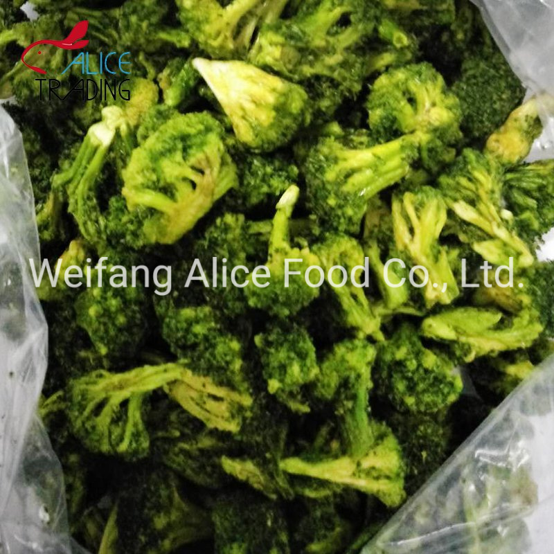 Healthy Snack Vf Vegetables Vacuum Fried Broccoli