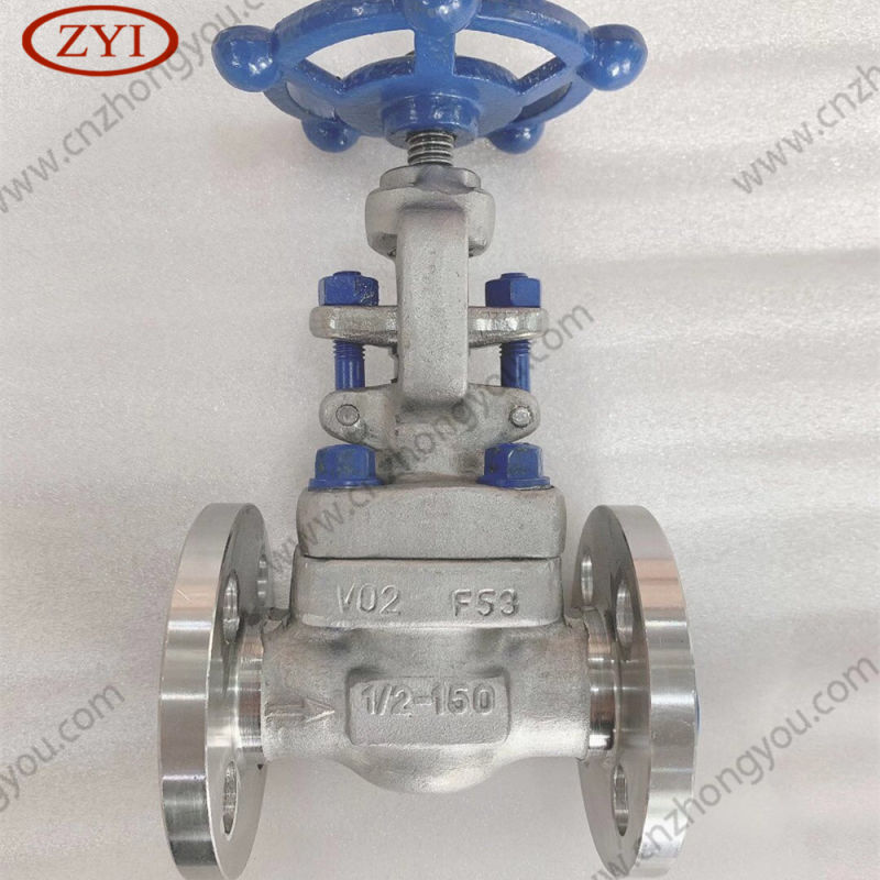 Zyi Forged Steel Double Flange Lf2 Swing Check Valve