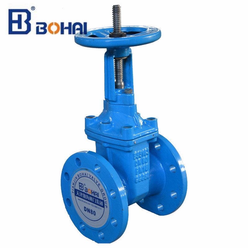 Rising Resilient Seat Flanged Cast Steel Gate Valve