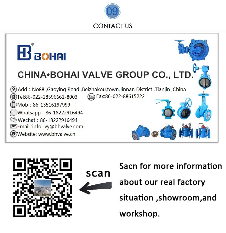 Ductile Iron Flanged Swing Check Valve