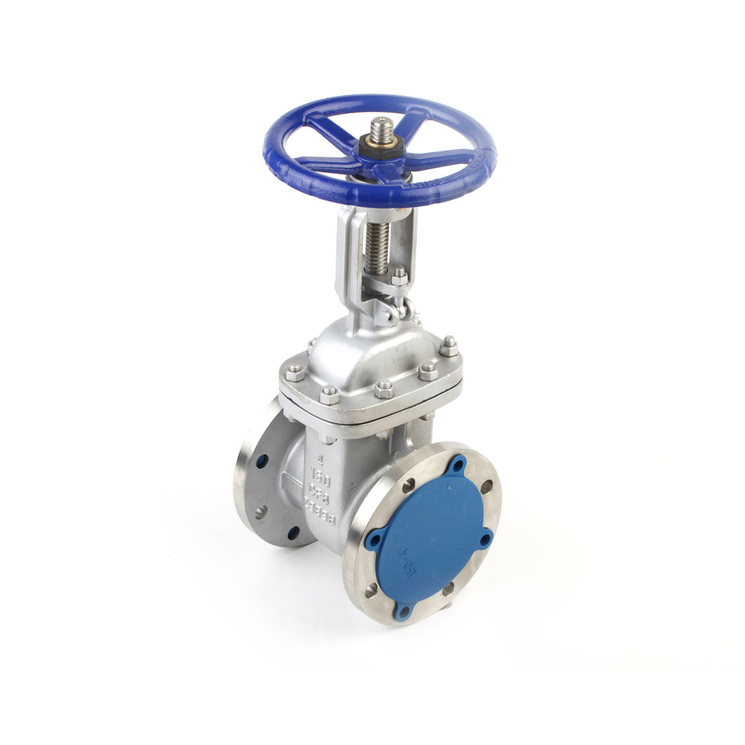 Stainless Steel Flanged Wedge Gate Valve 300lb