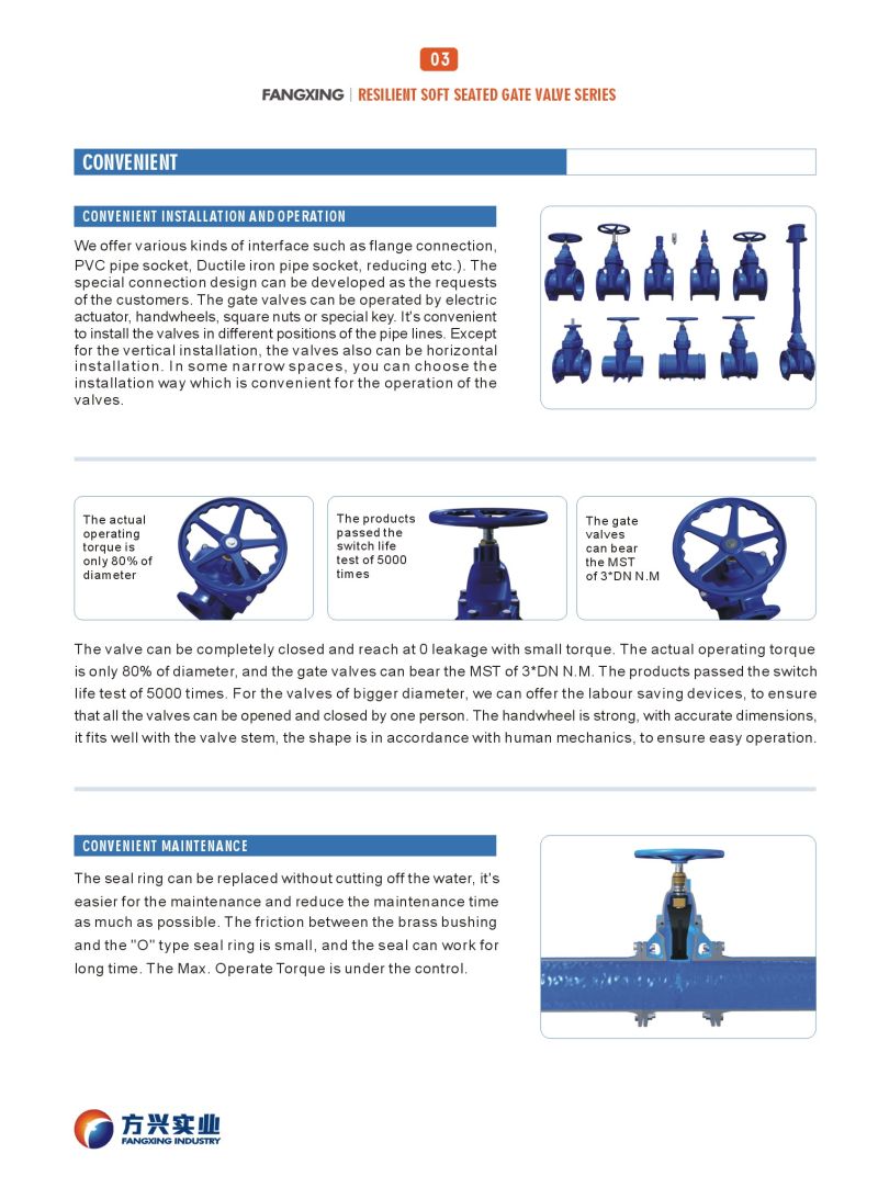 Resilient Soft Seated Gate Valves, Anti-Theft, Magnetic Lock