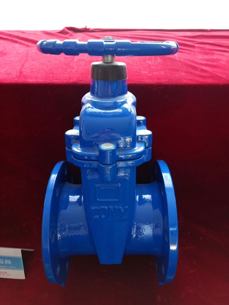 Pn16 API600 Soft Seal No-Rising Gate Valve Sluice Valve Water Gate Vlave