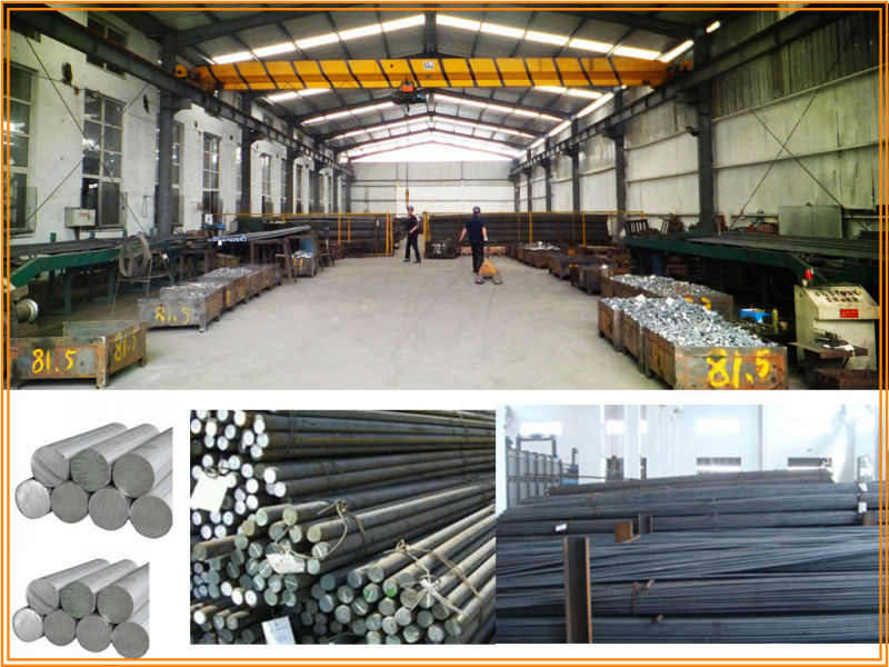 High Quality Forged Steel Tubular Scaffold with Coupler