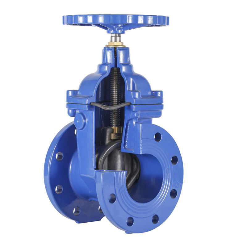 Resilient Seated Gate Valve with Non-Rising Stem