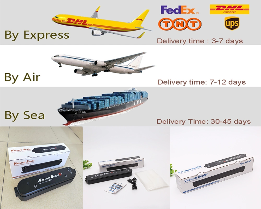 Small Vacuum Chamber Vacuum Packing Machine Food Vacuum Sealer