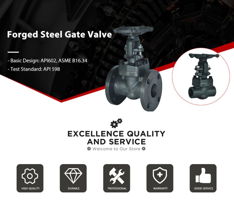 800# Forged Stainless Steel A182 F316L Globe Gate Valve