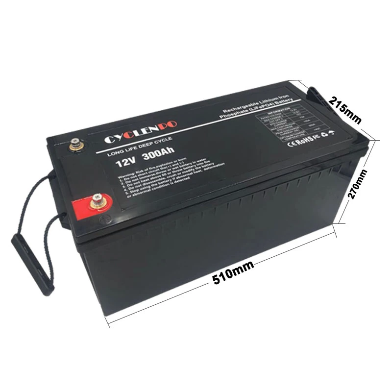 Low Self Discharge Rate 12V 300A Li Ion LiFePO4 Battery with BMS Overall Protection
