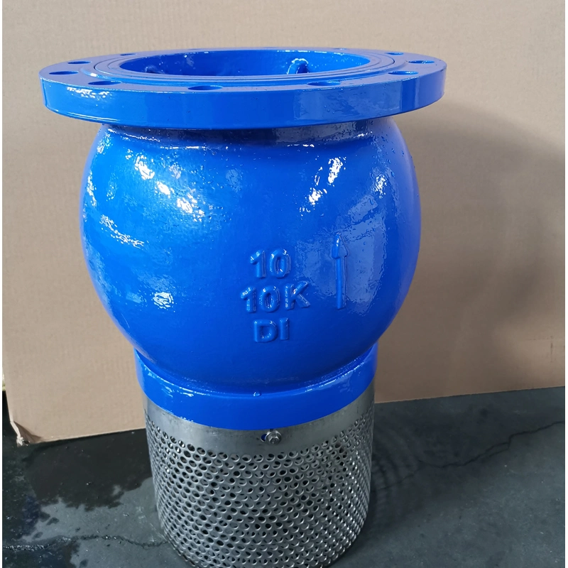 ANSI Flanged Ductile Iron Pn16 Foot Valve Check Valve Non Return Valve Ss Bottom Valve Electric Gate Valve Globe Valve Ball Valve