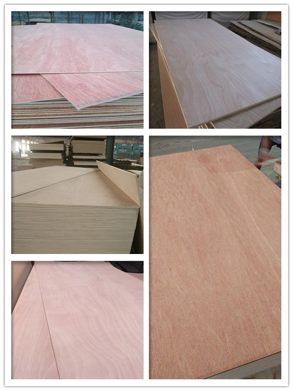 Door Size Commercial Plywood Door Skin for Door Manufacture