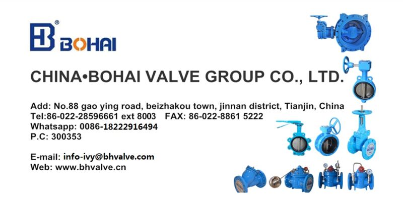 Double Disc Wafer Check Valve with Metal Seat