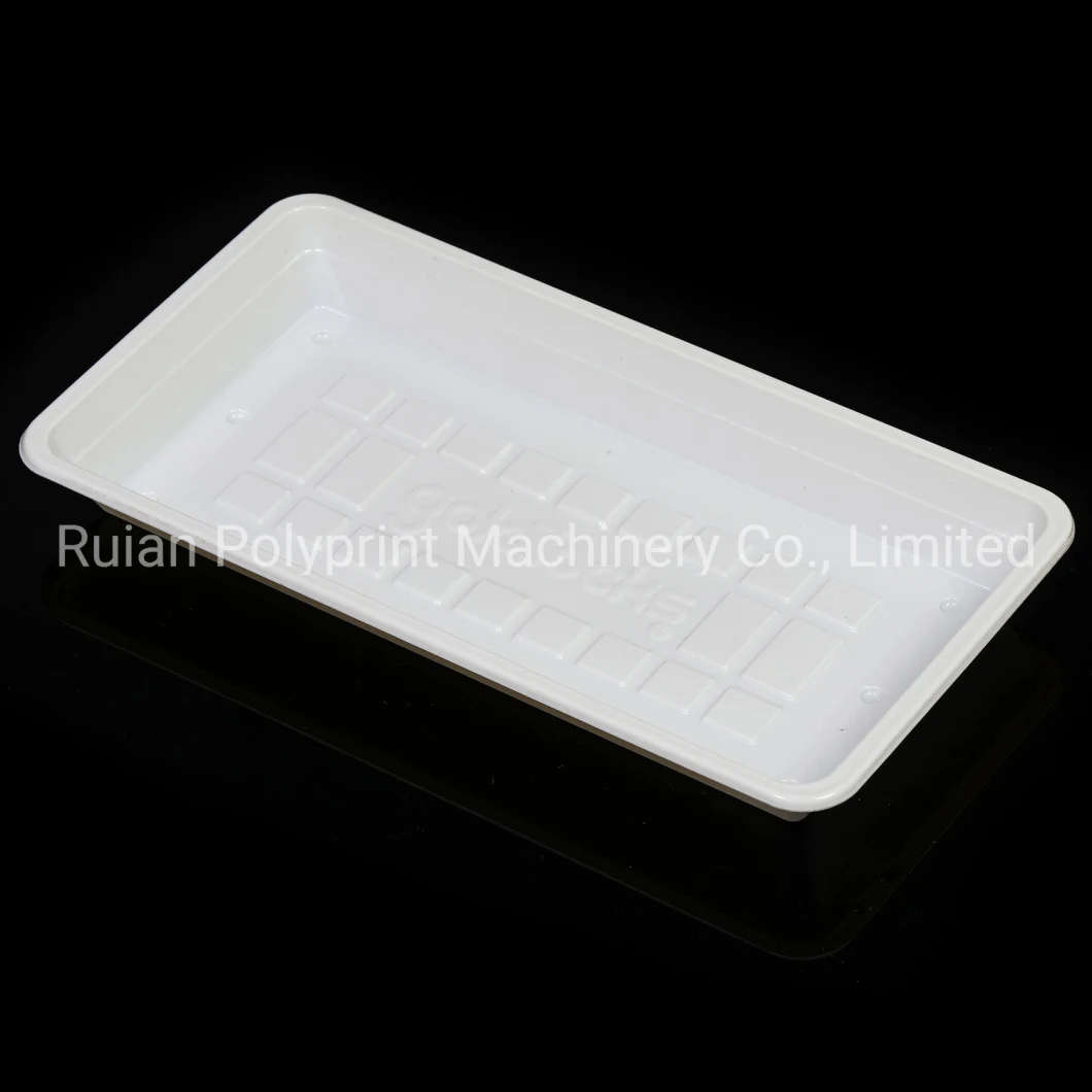 Plastic Fast Food Tray Containers Clamshell Box Lid/Cover Thermoforming Making Forming Machine