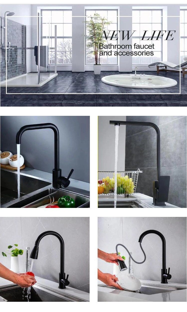 Hot Selling Black Stainless Steel Paint Faucet Black Square Faucet