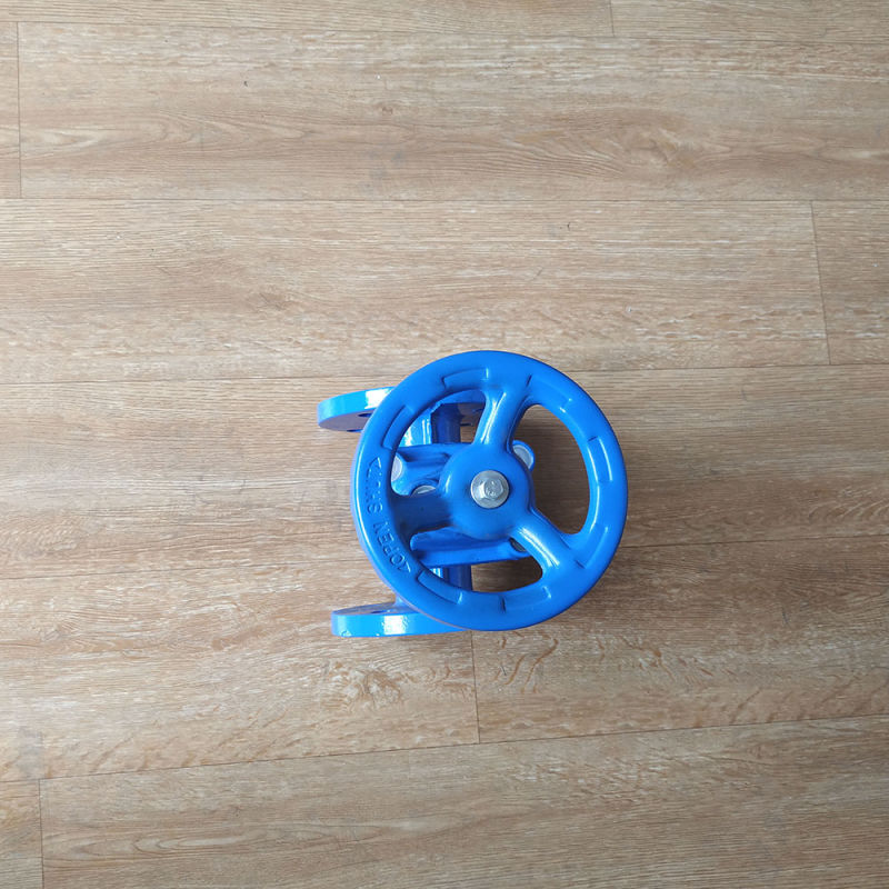High Quality Factory Price Ggg50 Gate Valve Ductile Iron Soft Sealed Resilient Seat Gate Valve Flange Gate Valve
