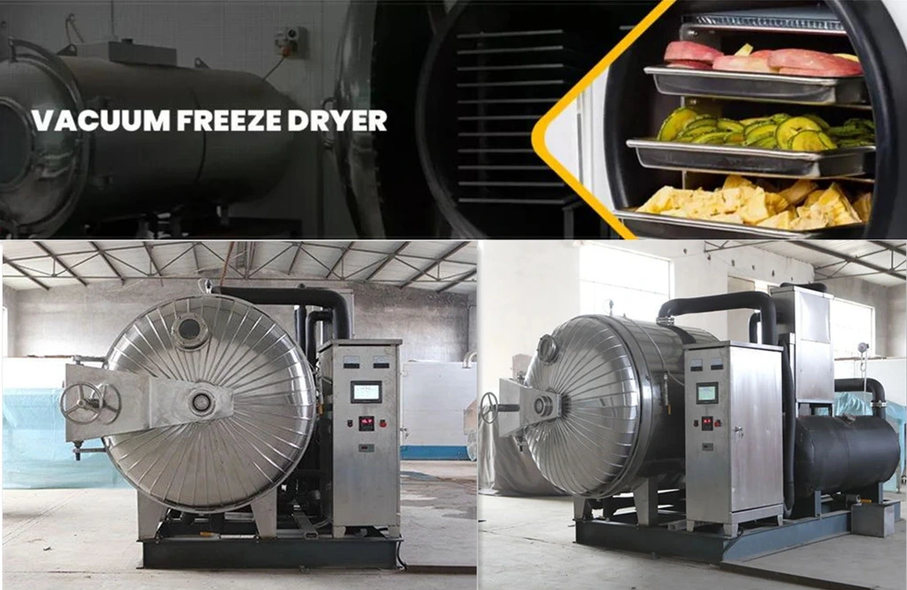 Frozen Fruit Vegetable Meat Herb Vacuum Freeze Dryer