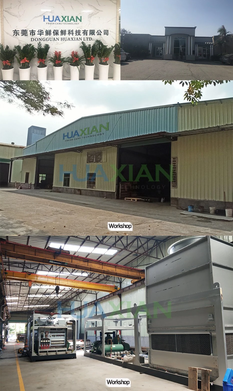 4 Pallet Auto Operation Fast Cooling Farm Machine, Large Refrigeration Vegetable Cooling Equipment Before Cold Storage