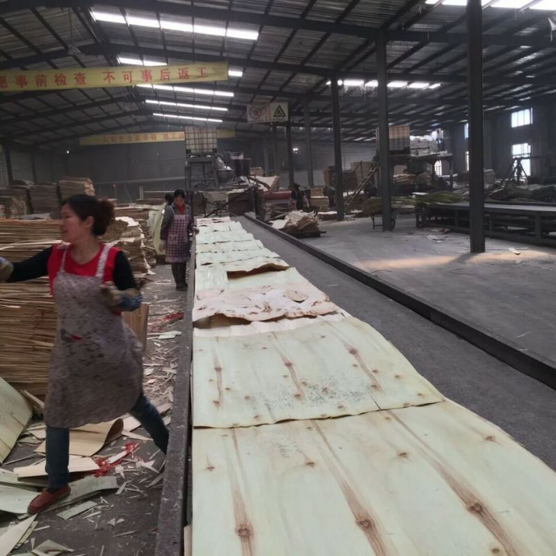 Osha Certificated Pine Wood Core Laminated LVL Scaffold Plank