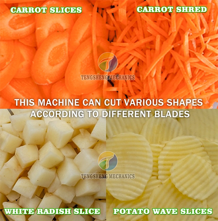 Root Vegetable Cutting Machine Carrot Slicer Carrot Dicer Shreding Machine (TS-Q112)