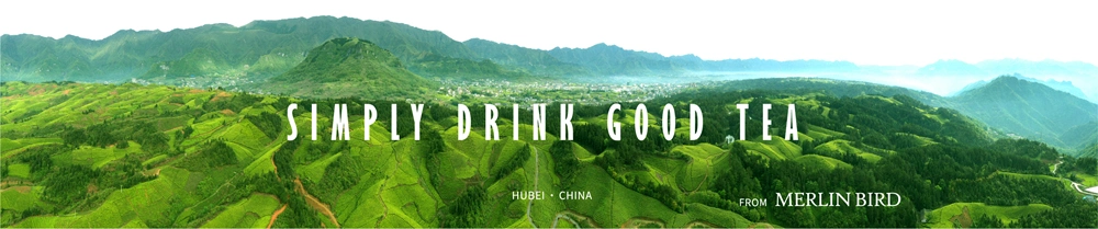 China Chunmee Green Tea 41022 Chunmee Green Tea The Vert De Chine