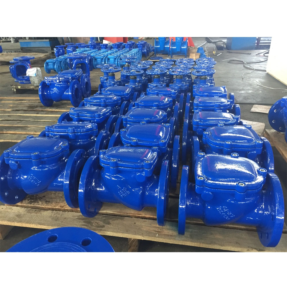 BS Cast Iron Rubber Disc Swing Check Valve Pn16 One Way Check Valve Gate Valve Types Air Check Valve Wafer Valve Hydraulic Check Valve