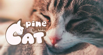 Best Selling Clump Quickly Deodorant Anti-Bacteria Pine Cat Litter