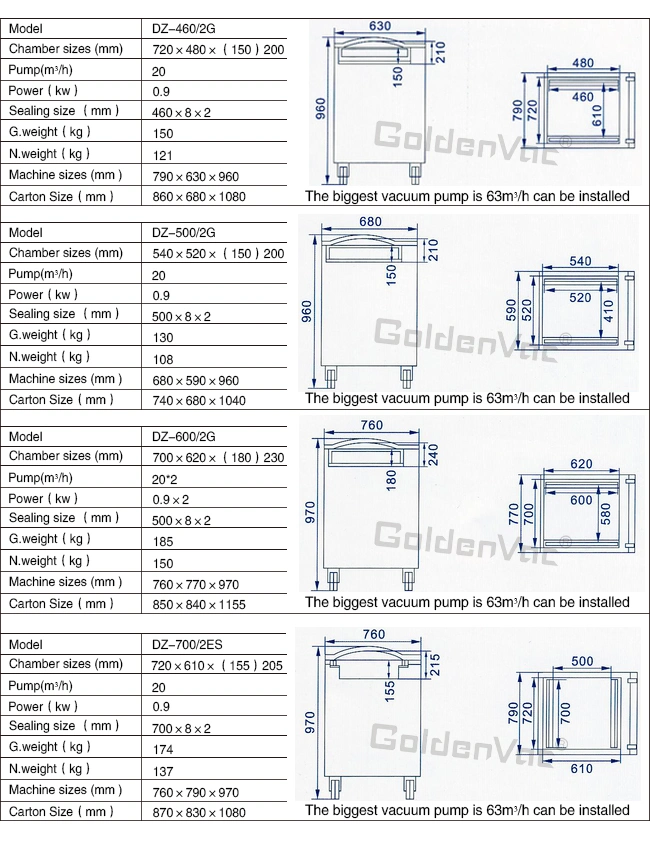 Vacuum Machine for Food, Food Vacuum Sealer Machine, Vacuum Package Machine (DZ-600/2G) 