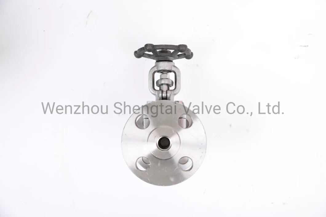 API Integral Flange Wedge Gate Carbon Steel Forged Steel Stainless Steel Gate Valve (Z41H-300LB-DN25)