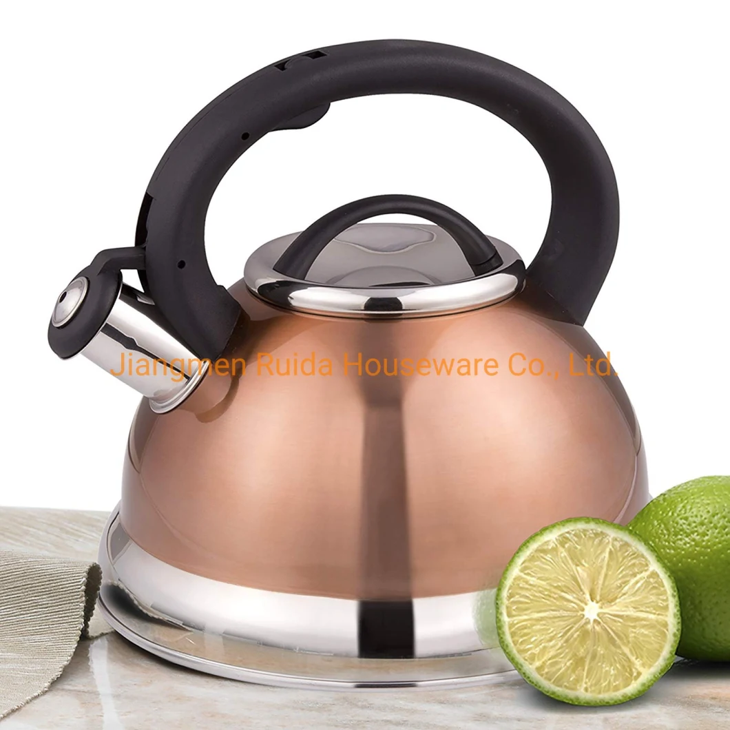 Heat Resistant Copper Painting Nylon Handle Stainless Steel Whistling Kettle Tea Kettle