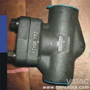 API 602 Swing and Lift Type Forged Check Valve