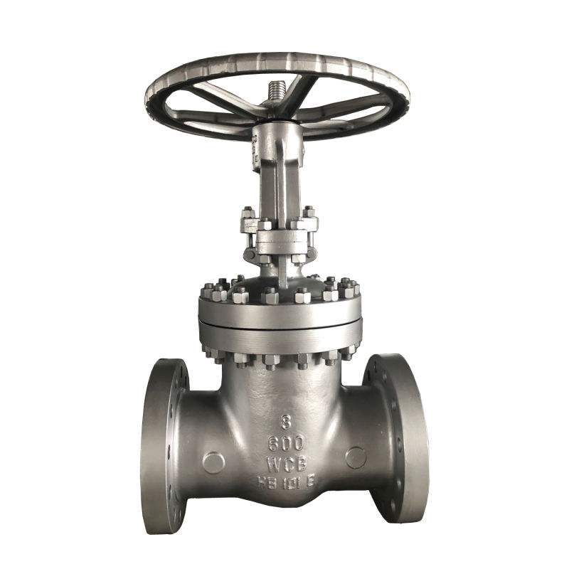 ANSI API Carbon/Stainless Steel Flanged Rising Metal Seated Gate Valve Shut off Valve PVC Ball Valve Brass Gate Valve